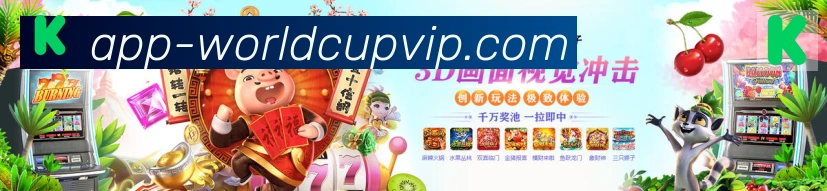 体育数据展示
